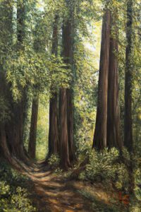 Henry Cowell River Trail